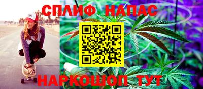 a pvp Шелехов