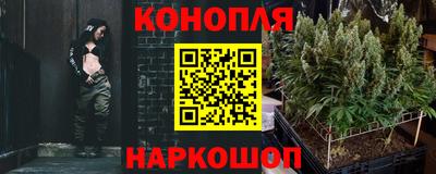 a pvp Шелехов