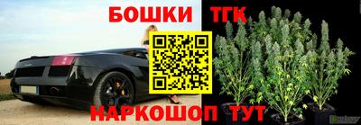 a pvp Шелехов