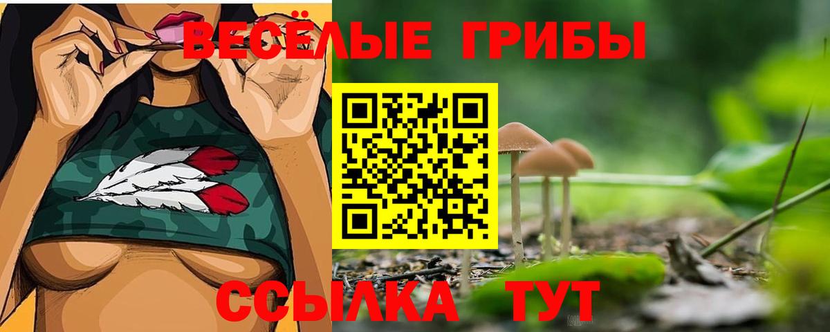 Галлюциногенные грибы мицелий Малоярославец
